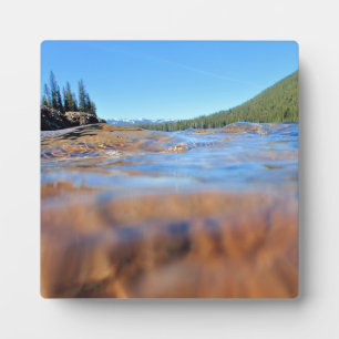 Unterwasseransicht am Little Cultus Lake, OR Fotoplatte