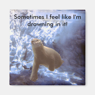 Unterwasserbärenmagnet Magnet