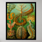 Unterwasserfarbe Poster (Vorne)