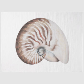 Unterwasserfarben-MeerShell-Serie Design 7 Seidenpapier