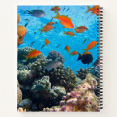 Unterwasserfische und Korallenschaukeln Notizblock (Rückseite)