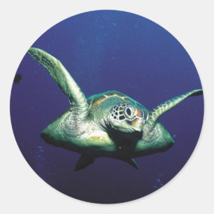 Unterwasserflug Runder Aufkleber