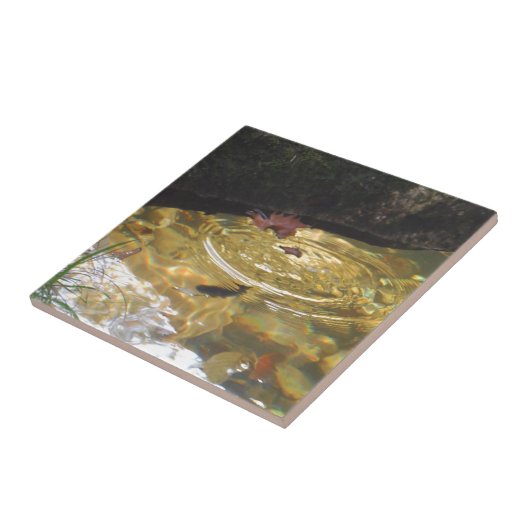 Unterwasserforelle fütternd in der Smoky-Gebirgsbu Fliese (Seite)