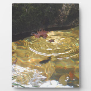 Unterwasserforelle fütternd in der Smoky-Gebirgsbu Fotoplatte