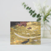 Unterwasserforelle fütternd in der Smoky-Gebirgsbu Postkarte (Stehend Vorderseite)