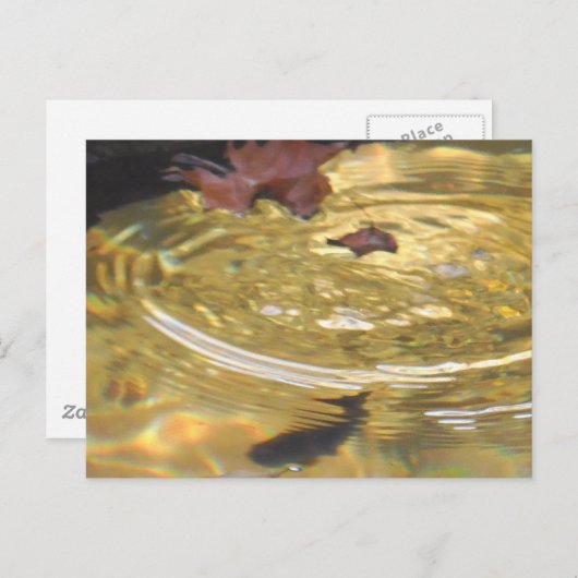 Unterwasserforelle fütternd in der Smoky-Gebirgsbu Postkarte (Vorne/Hinten)