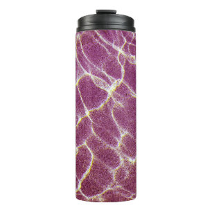 Unterwasserfotografie von Sand Thermosbecher