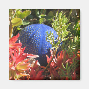 Unterwassergarten mit Orb Magnet Pflanze