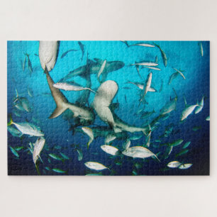 Unterwasserhaie Puzzle