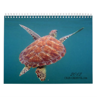 Unterwasserkalender Chan Chemuyil Kalender