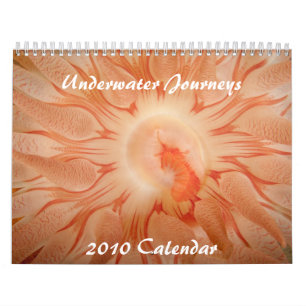 Unterwasserkalender der reise-2010 kalender