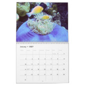 Unterwasserkalender — Palau Kalender (Jan 2027)