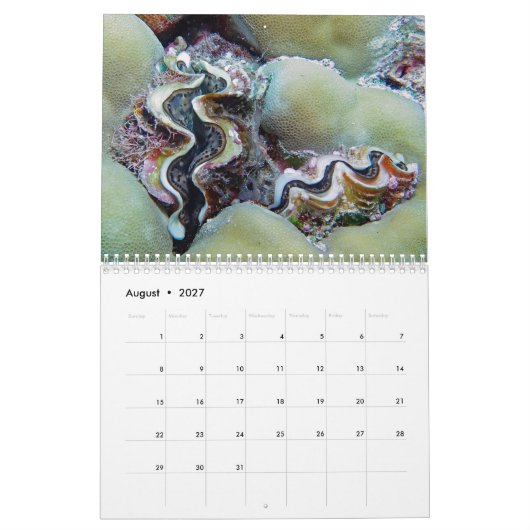 Unterwasserkalender — Palau Kalender (Aug 2027)