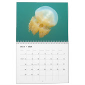 Unterwasserkalender — Palau Kalender (Mär 2026)
