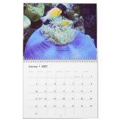 Unterwasserkalender — Palau Kalender (Jan 2027)