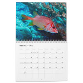 Unterwasserkalender — Palau Kalender (Feb 2027)