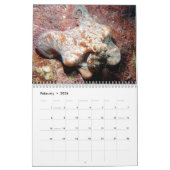 Unterwasserkalender — Roatan, Honduras Kalender (Feb 2026)