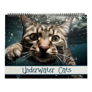 Unterwasserkatzen Witziges Fotografieren Kalender