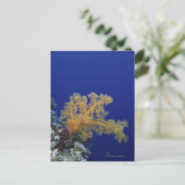 Unterwasserkoralle Postkarte (Stehend Vorderseite)