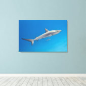 Unterwasserleben: Carcharhinus perezi schwimmen in Leinwanddruck (Insitu (Holzboden))