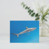 Unterwasserleben: Carcharhinus perezi schwimmen in Postkarte (Stehend Vorderseite)