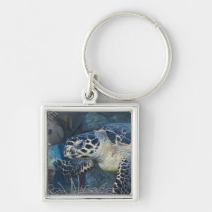 Unterwasserleben: Eine Hawksbill Meeresschildkröt Schlüsselanhänger