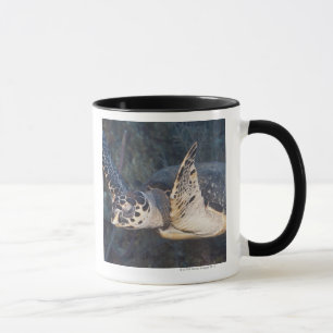Unterwasserleben: Eine Hawksbill Meeresschildkröt Tasse