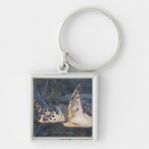 Unterwasserleben: Eine Hawksbill Meeresschildkröte Schlüsselanhänger