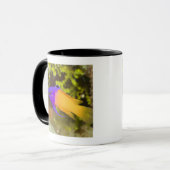 Unterwasserleben, FISCH:  ein bunter feenhafter Tasse (Vorderseite Links)