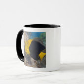 Unterwasserleben, FISCH: Eine bunte Tasse (Vorderseite Links)