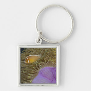 Unterwasserleben; FISCHE: Clownfish (Rosa Schlüsselanhänger