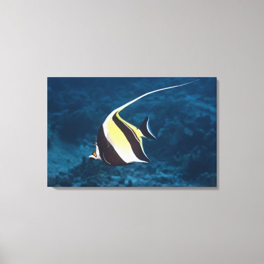 Unterwasserleben; FISH: Ein maurisches Idol (Zancl Leinwanddruck (Vorderseite)