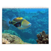 Unterwassermaui Kalender (Titelbild)