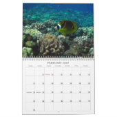 Unterwassermaui Kalender (Feb 2027)