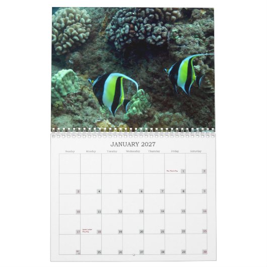 Unterwassermaui Kalender (Jan 2027)