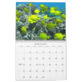 Unterwassermaui Kalender (Mär 2027)