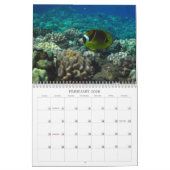 Unterwassermaui Kalender (Feb 2026)