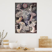 Unterwassermeeranemones von Ernst Haeckel Poster (Küche)