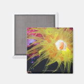 Unterwasserorganismus Magnet (Vorderseite/Rückseite)