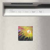 Unterwasserorganismus Magnet (In Situ (Geschirrspüler))