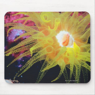 Unterwasserorganismus Mousepad