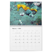 Unterwasserozean-Fotografie Kalender (Feb 2026)