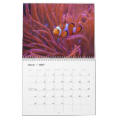 Unterwasserozean-Fotografie Kalender (Mär 2027)