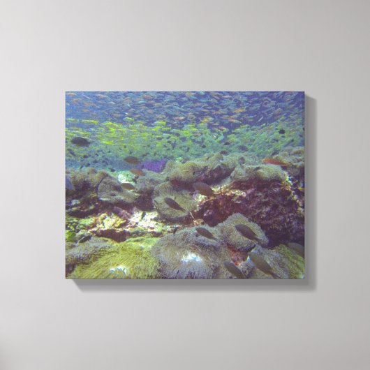 Unterwasserparadies Ähnliche Inseln Thailand Leinwanddruck (Vorderseite)