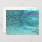 Unterwasserparadies Postkarte (Vorne/Hinten)