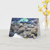 Unterwasserphotographie - bunter tropischer Fisch Karte (Gelbe Blume)