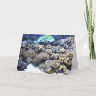 Unterwasserphotographie - bunter tropischer Fisch Karte