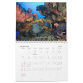 Unterwasserreise-Ausgabe 2009 Kalender (Feb 2027)