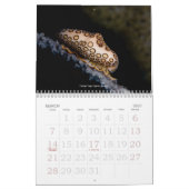 Unterwasserreise-Ausgabe 2009 Kalender (Mär 2027)