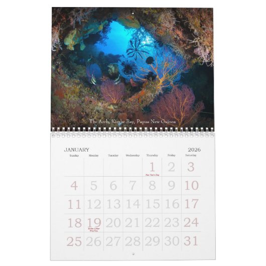 Unterwasserreise-Meeresflora und -fauna-Kalender Kalender (Jan 2026)